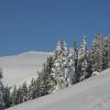 20050226_Oberegg_161